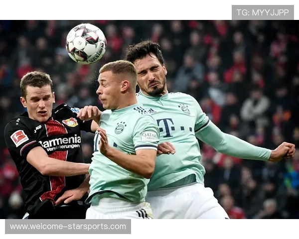 拜仁持续投资数据分析与比赛模型，拜仁资金