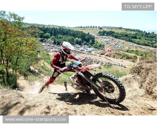 极限收割完成比赛